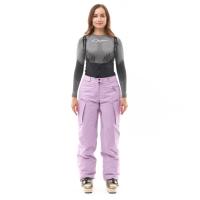 Dragonfly Штаны горнолыжные утепленные Gravity 2025 Woman Purple в Уфе